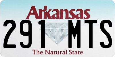 AR license plate 291MTS