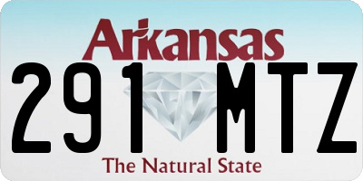 AR license plate 291MTZ