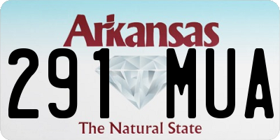 AR license plate 291MUA