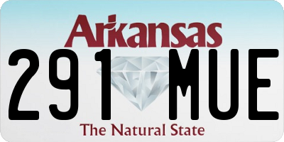 AR license plate 291MUE