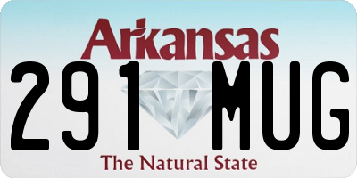 AR license plate 291MUG