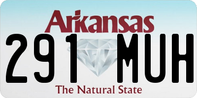 AR license plate 291MUH