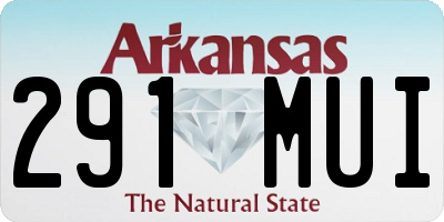 AR license plate 291MUI