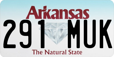 AR license plate 291MUK