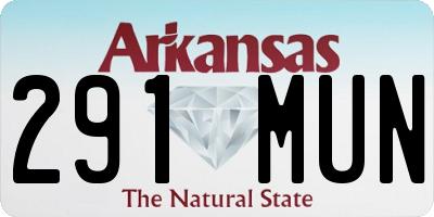AR license plate 291MUN