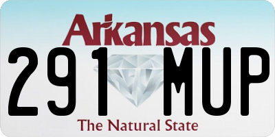 AR license plate 291MUP