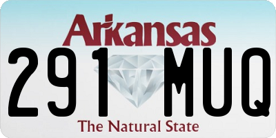 AR license plate 291MUQ