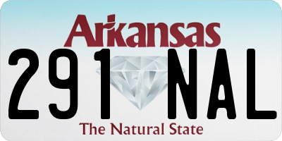 AR license plate 291NAL