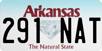AR license plate 291NAT