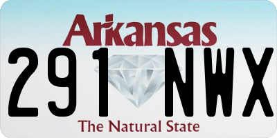 AR license plate 291NWX