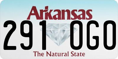 AR license plate 291OGO