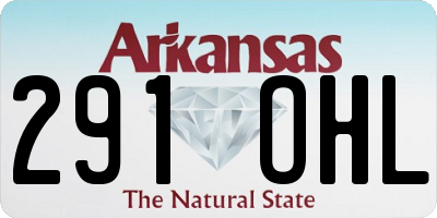 AR license plate 291OHL