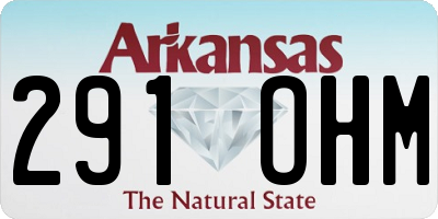 AR license plate 291OHM