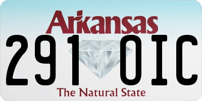 AR license plate 291OIC