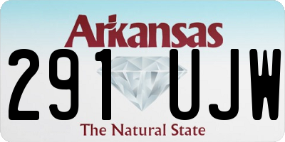 AR license plate 291UJW