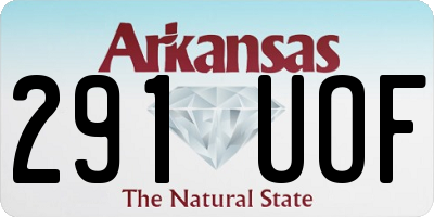 AR license plate 291UOF