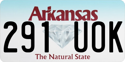 AR license plate 291UOK