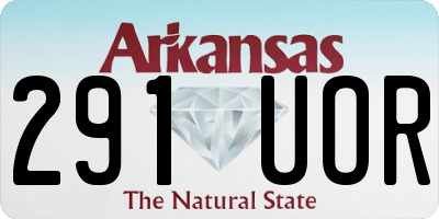 AR license plate 291UOR