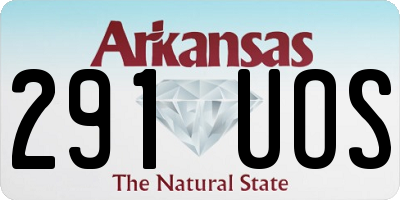 AR license plate 291UOS