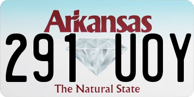 AR license plate 291UOY