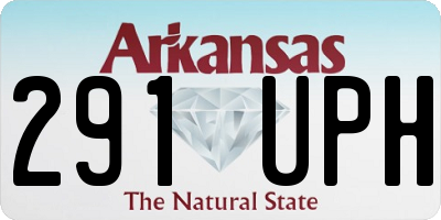 AR license plate 291UPH