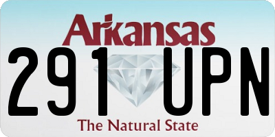 AR license plate 291UPN