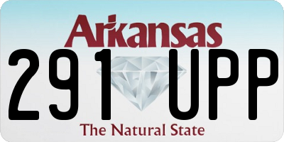 AR license plate 291UPP