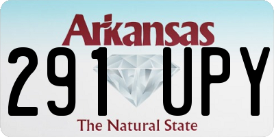 AR license plate 291UPY