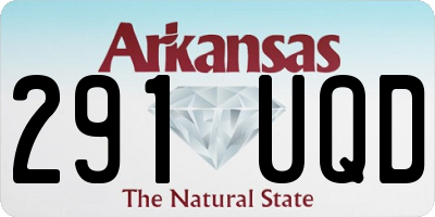 AR license plate 291UQD