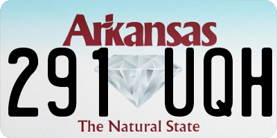 AR license plate 291UQH