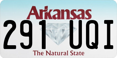 AR license plate 291UQI