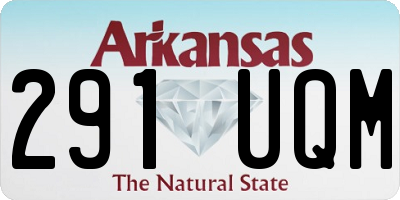 AR license plate 291UQM