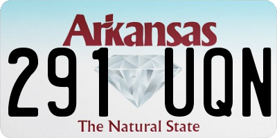 AR license plate 291UQN