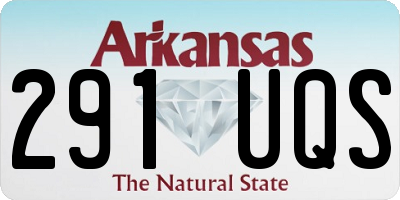 AR license plate 291UQS