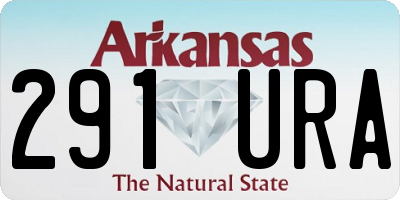 AR license plate 291URA