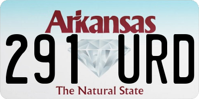 AR license plate 291URD