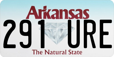 AR license plate 291URE