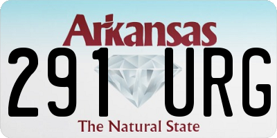 AR license plate 291URG