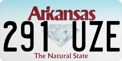 AR license plate 291UZE
