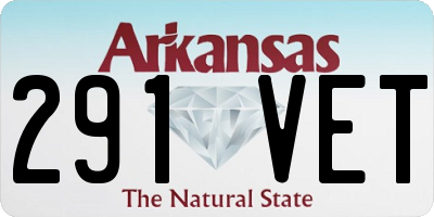 AR license plate 291VET