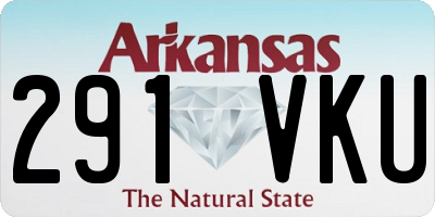AR license plate 291VKU
