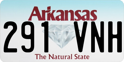 AR license plate 291VNH