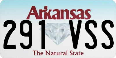 AR license plate 291VSS