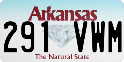 AR license plate 291VWM