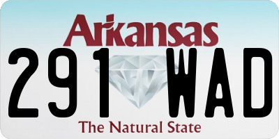 AR license plate 291WAD