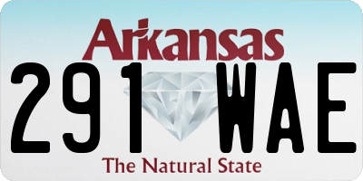 AR license plate 291WAE