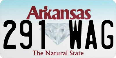 AR license plate 291WAG