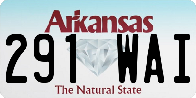 AR license plate 291WAI