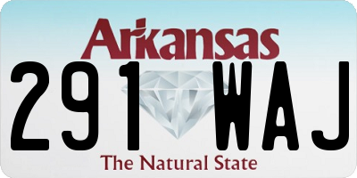 AR license plate 291WAJ