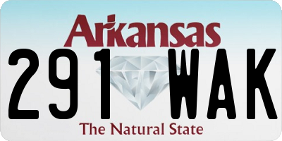 AR license plate 291WAK